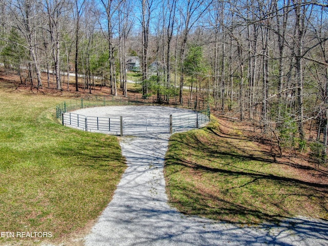 145 Horse Haven Rd, Allardt, TN 38504 - view of property's community with a gate and fence