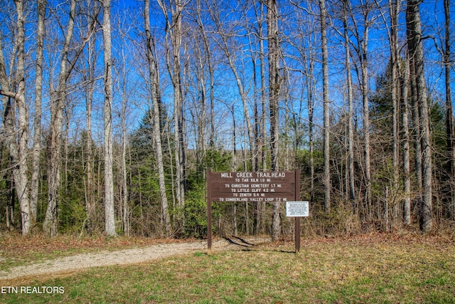 145 Horse Haven Rd, Allardt, TN 38504 - view of yard featuring a forest view