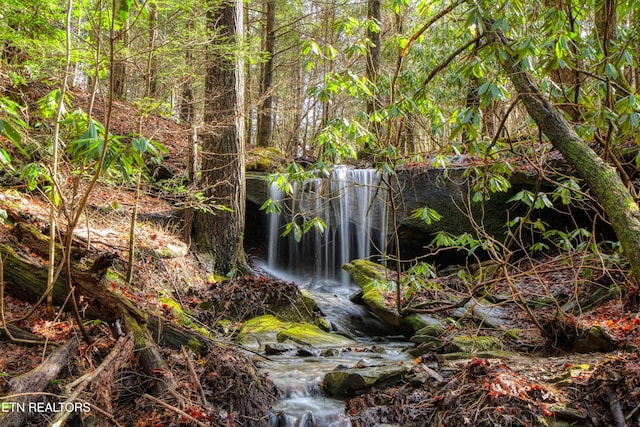 145 Horse Haven Rd, Allardt, TN 38504 - view of local wilderness