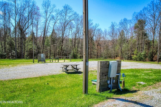 145 Horse Haven Rd, Allardt, TN 38504 - view of property's community with a yard and a forest view