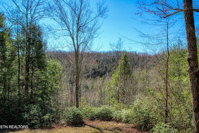 145 Horse Haven Rd, Allardt, TN 38504 - view of nature featuring a forest view