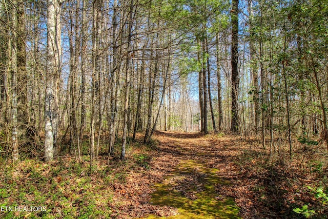 145 Horse Haven Rd, Allardt, TN 38504 - view of landscape with a view of trees