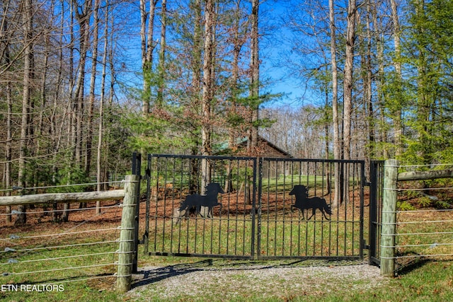 145 Horse Haven Rd, Allardt, TN 38504 - view of gate with fence
