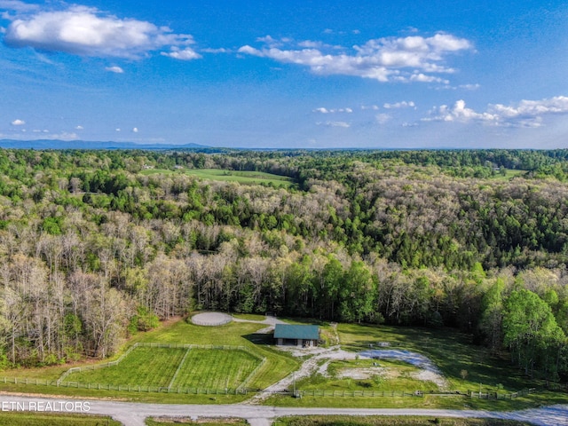 145 Horse Haven Rd, Allardt, TN 38504 - aerial view with a view of trees