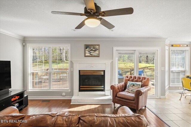 living area featuring ornamental molding and a healthy amount of sunlight