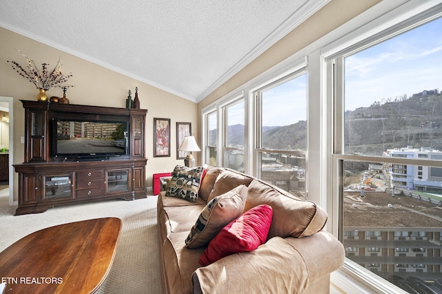102 Baskins Creek Byp Unit 604, Gatlinburg, TN 37738 - living area featuring carpet, crown molding, vaulted ceiling, and a textured ceiling