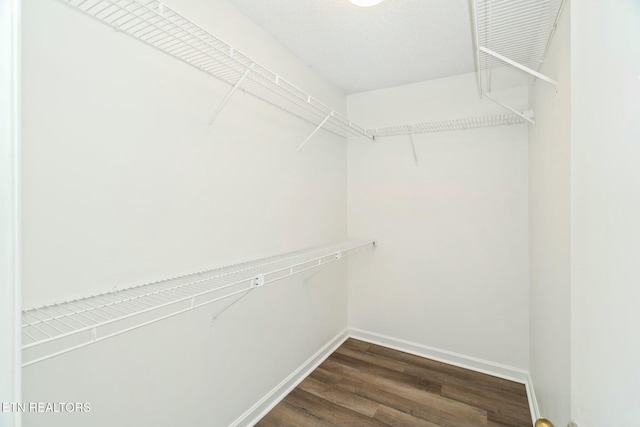 walk in closet featuring dark wood-style flooring