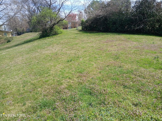 1940 Bethel Ave, Knoxville, TN 37915 - photo 17