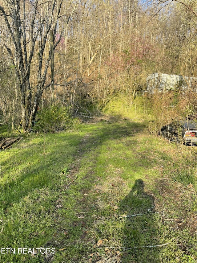 445 Pioneer Ridge Way, Seymour, TN 37865 - view of yard