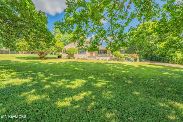 6501 Sherwood Dr, Knoxville, TN 37919 - photo 50