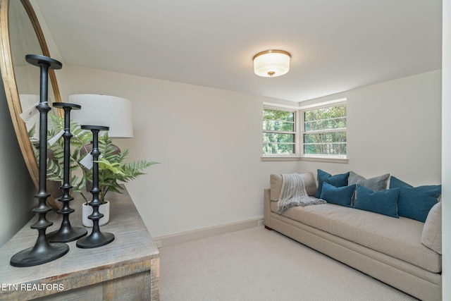 6501 Sherwood Dr, Knoxville, TN 37919 - photo 46
