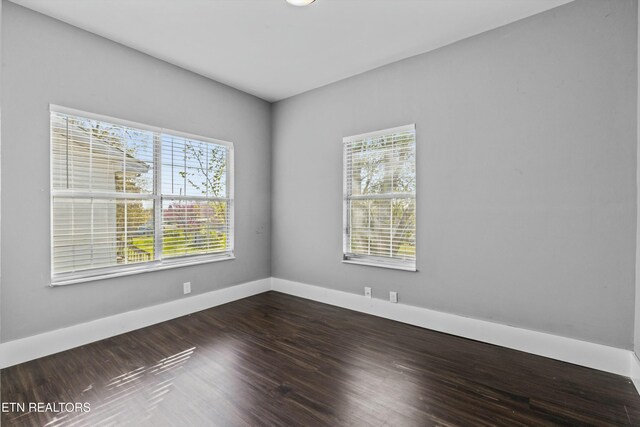 234 Cedar Ave, Knoxville, TN 37917 - photo 18