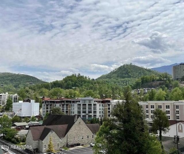view of mountain feature
