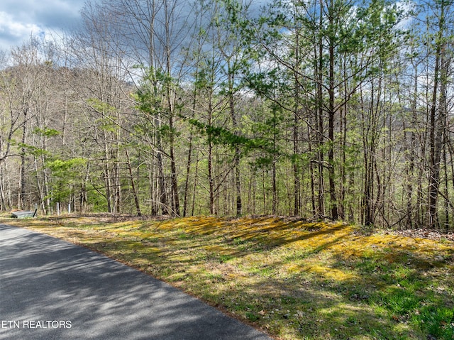 227 Black Powder Ct, Walland, TN 37886 - photo 1