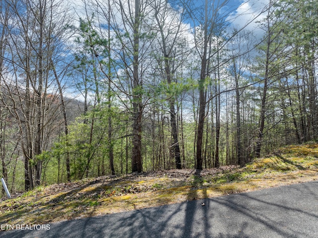 227 Black Powder Ct, Walland, TN 37886 - photo 2