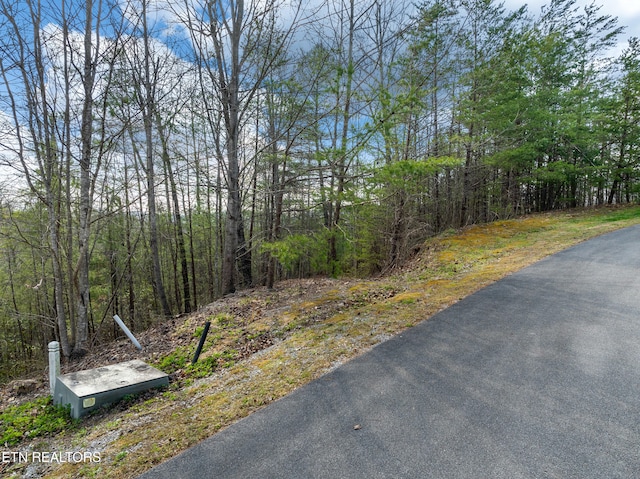 227 Black Powder Ct, Walland, TN 37886 - photo 3
