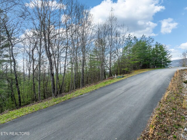 227 Black Powder Ct, Walland, TN 37886 - photo 4