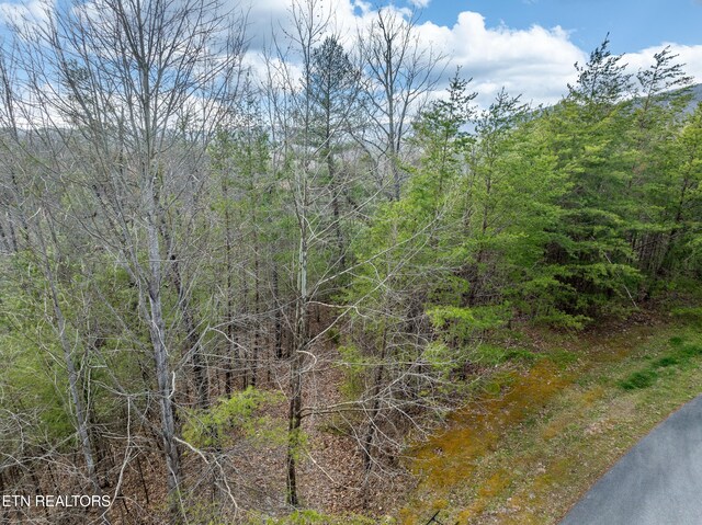 227 Black Powder Ct, Walland, TN 37886 - photo 5