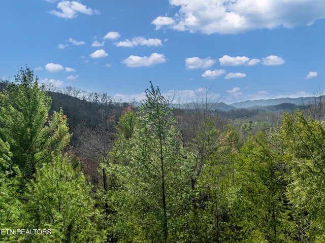 227 Black Powder Ct, Walland, TN 37886 - photo 6