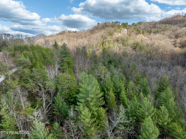 227 Black Powder Ct, Walland, TN 37886 - photo 7