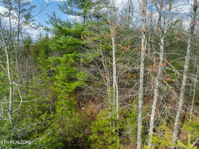 227 Black Powder Ct, Walland, TN 37886 - photo 8