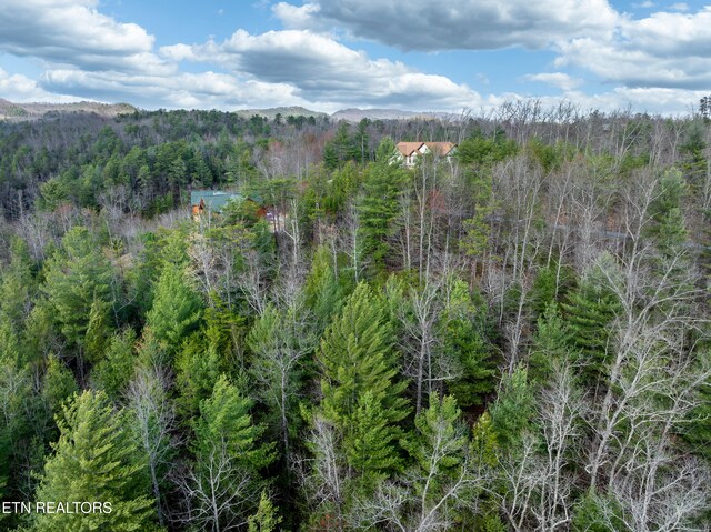 227 Black Powder Ct, Walland, TN 37886 - photo 9