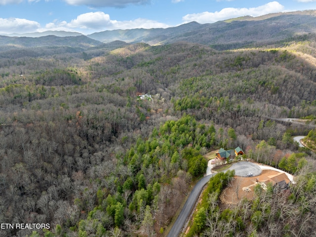 227 Black Powder Ct, Walland, TN 37886 - photo 10