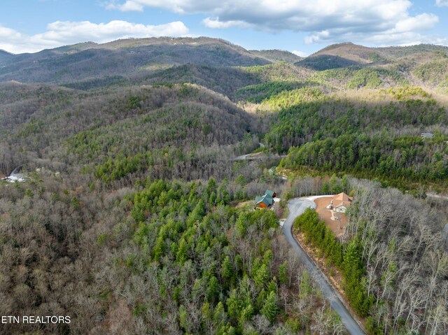 227 Black Powder Ct, Walland, TN 37886 - photo 11