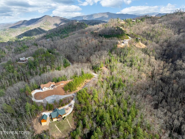 227 Black Powder Ct, Walland, TN 37886 - photo 12