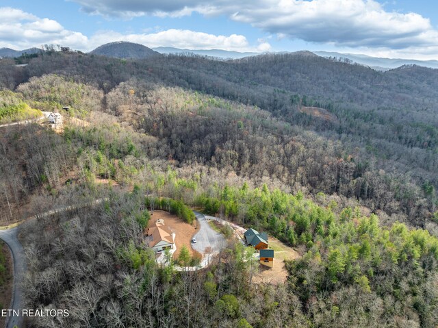 227 Black Powder Ct, Walland, TN 37886 - photo 13