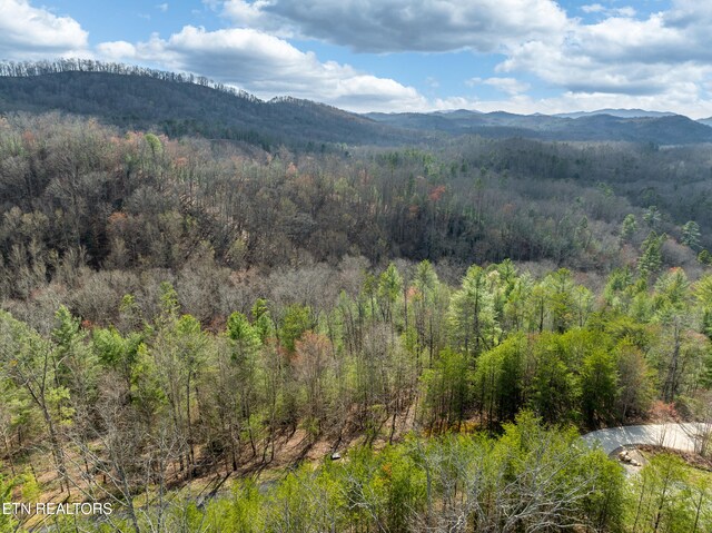 227 Black Powder Ct, Walland, TN 37886 - photo 14