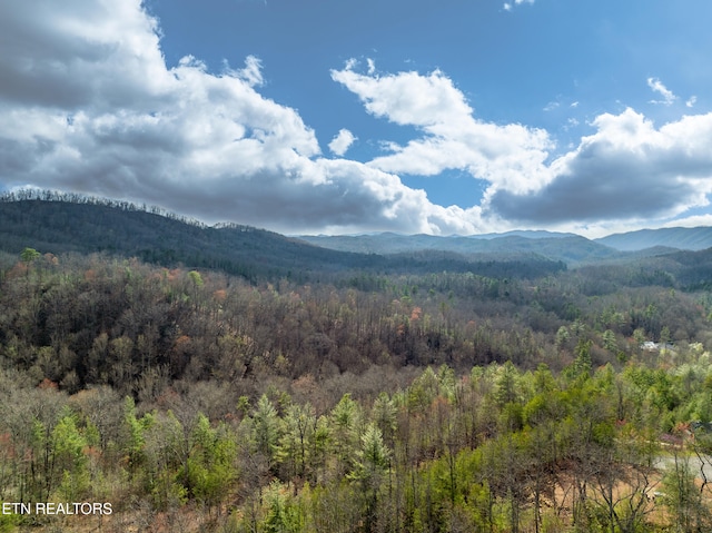 227 Black Powder Ct, Walland, TN 37886 - photo 16