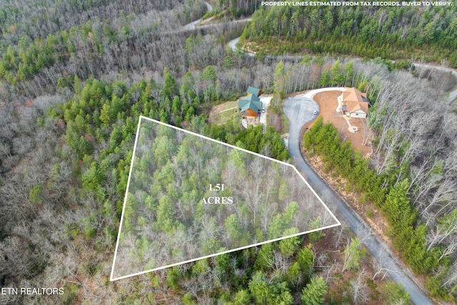 227 Black Powder Ct, Walland, TN 37886 - photo 17
