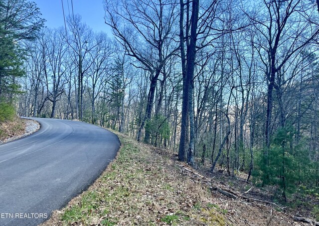 Listing photo 2 for 4010 Fox Hunters Ln, Sevierville TN 37876