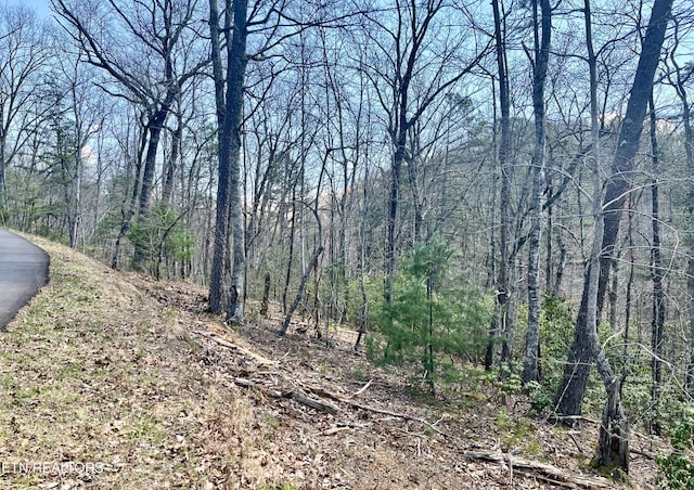 4010 Fox Hunters Ln, Sevierville TN, 37876 land for sale