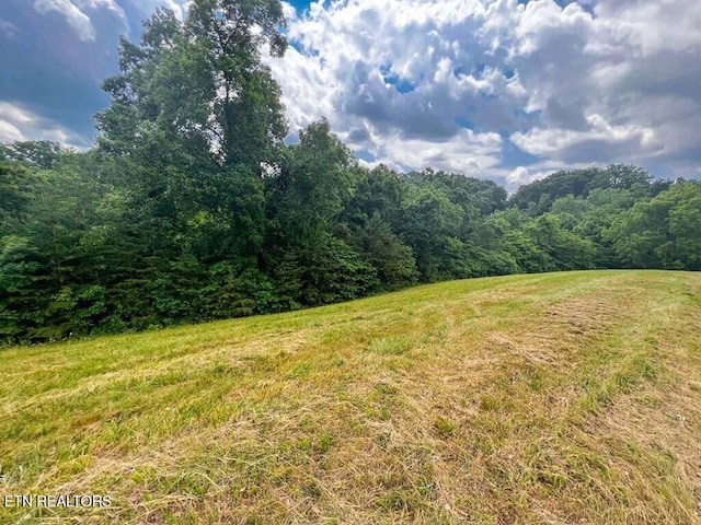 2004 Turners Landing Rd, Russellville, TN 37860 - photo 1