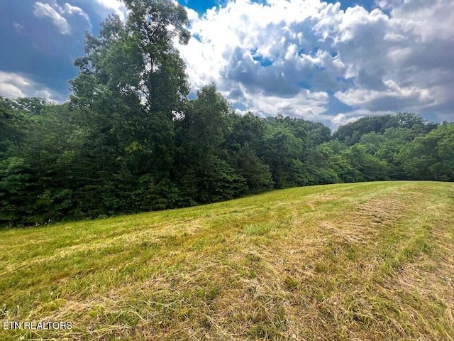 2004 Turners Landing Rd, Russellville, TN 37860 - photo 2