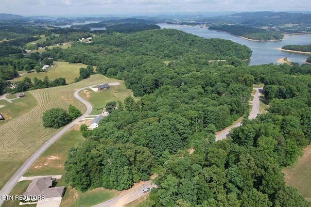 2004 Turners Landing Rd, Russellville, TN 37860 - photo 5