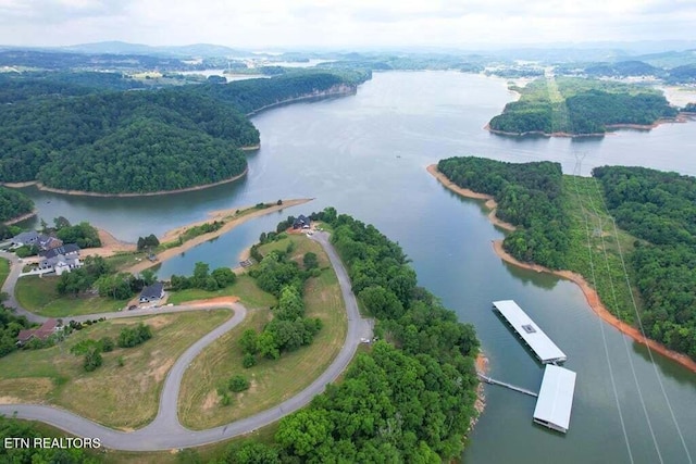 2004 Turners Landing Rd, Russellville, TN 37860 - photo 7
