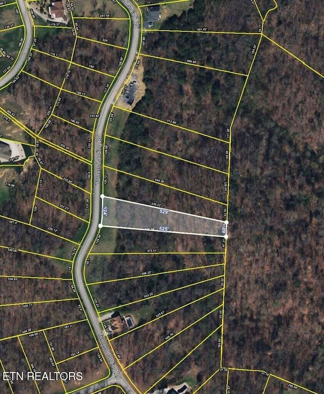 2004 Turners Landing Rd, Russellville, TN 37860 - photo 12