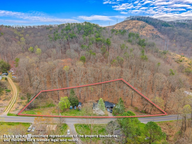 drone / aerial view with a forest view and a mountain view