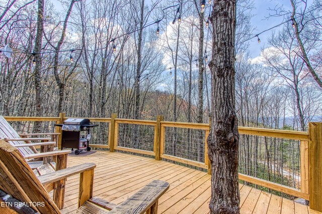 3517 Cove Mountain Rd, Sevierville, TN 37862 - photo 6