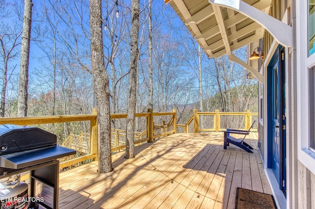 3517 Cove Mountain Rd, Sevierville, TN 37862 - photo 37