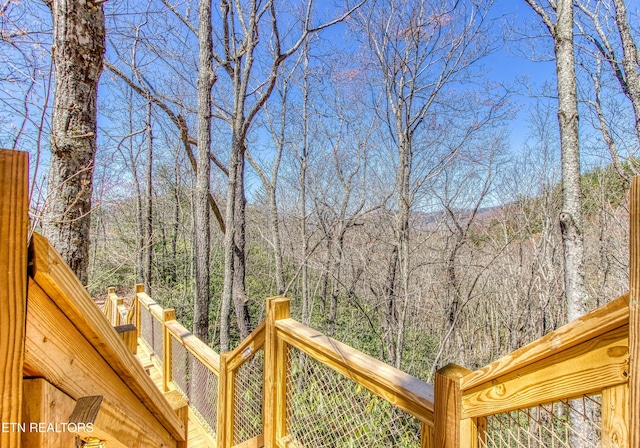 3517 Cove Mountain Rd, Sevierville, TN 37862 - photo 50