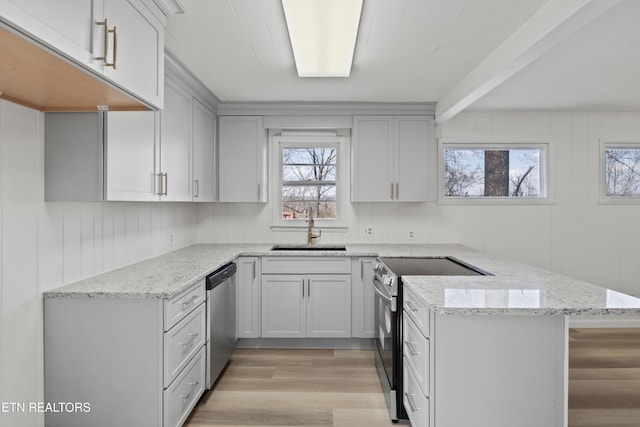 kitchen featuring a healthy amount of sunlight, stainless steel appliances, light wood finished floors, and a sink