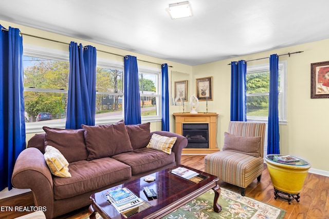 living area featuring baseboards, wood finished floors, and a fireplace