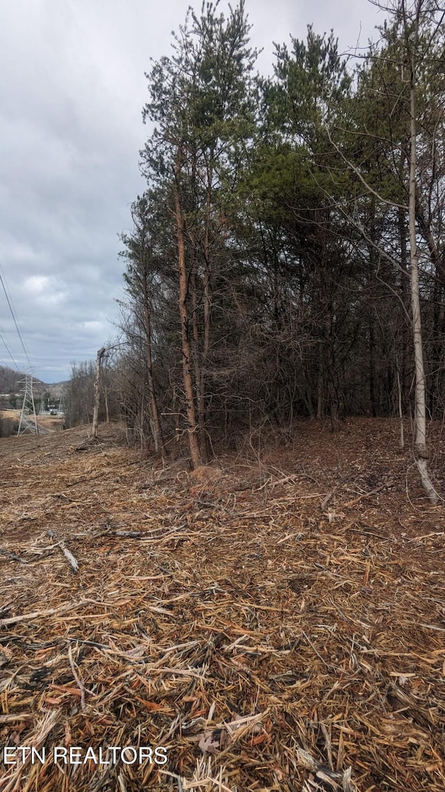 0 Rifle Range Dr, Knoxville, TN 37918 - photo 4