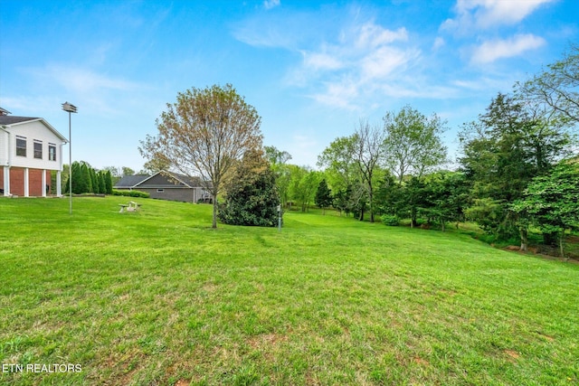 279 Mississippi Ave, Seymour, TN 37865 - photo 49