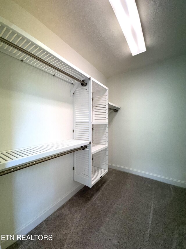 277 Deerfield Way, Lafollette, TN 37766 - spacious closet with dark colored carpet