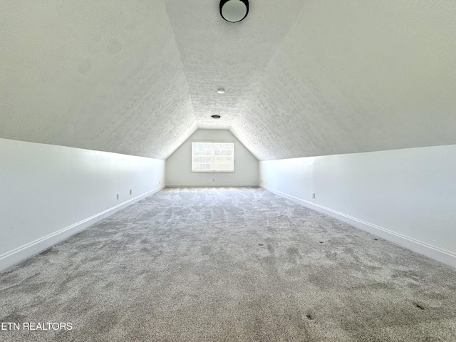 277 Deerfield Way, Lafollette, TN 37766 - bonus room with baseboards, a textured ceiling, lofted ceiling, and carpet floors